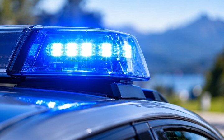 Toter Hund bei Gmund-Ostin in Kiste gefunden