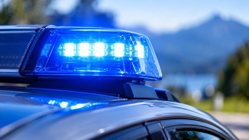 Toter Hund bei Gmund-Ostin in Kiste gefunden